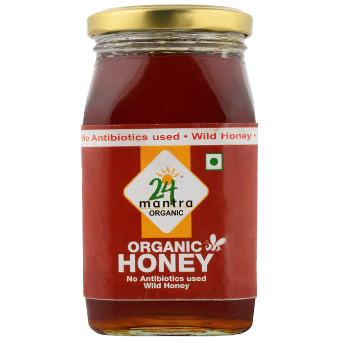 24 Mantra Organic Honey
jar of 500 gm Paste
