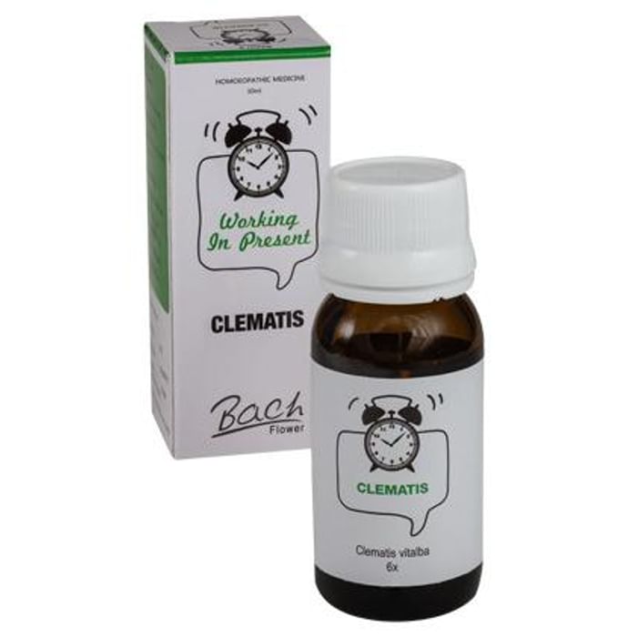 Alfa Omega Bach Flower Clematis 6X
bottle of 30 ml Dilution