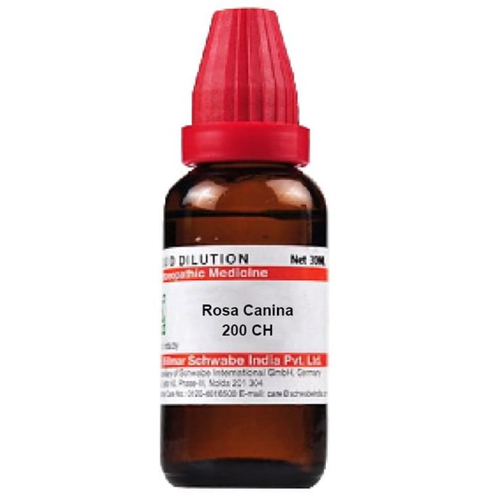 Dr Willmar Schwabe India Rosa Canina Dilution 200 CH
bottle of 30 ml Dilution