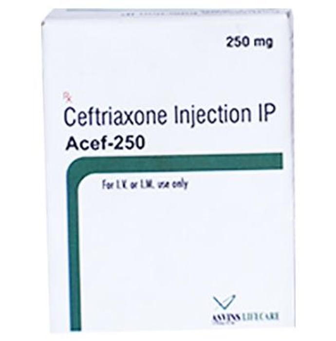 Acef 250 Injection
1 Injection