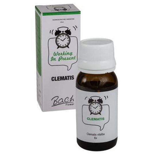 Alfa Omega Bach Flower Clematis 6X
bottle of 30 ml Dilution